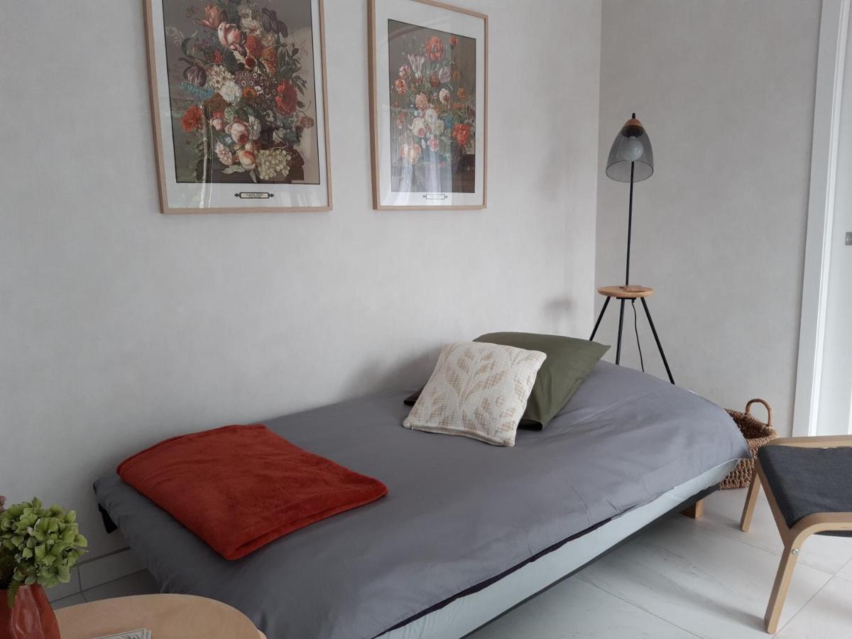Agape, Elegant T2, 4 Etoiles, Plage Et Gr34 3Km, Centre Ville 750M 富埃南 外观 照片